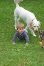 Grandson 1 & Other Animals  thumbnail