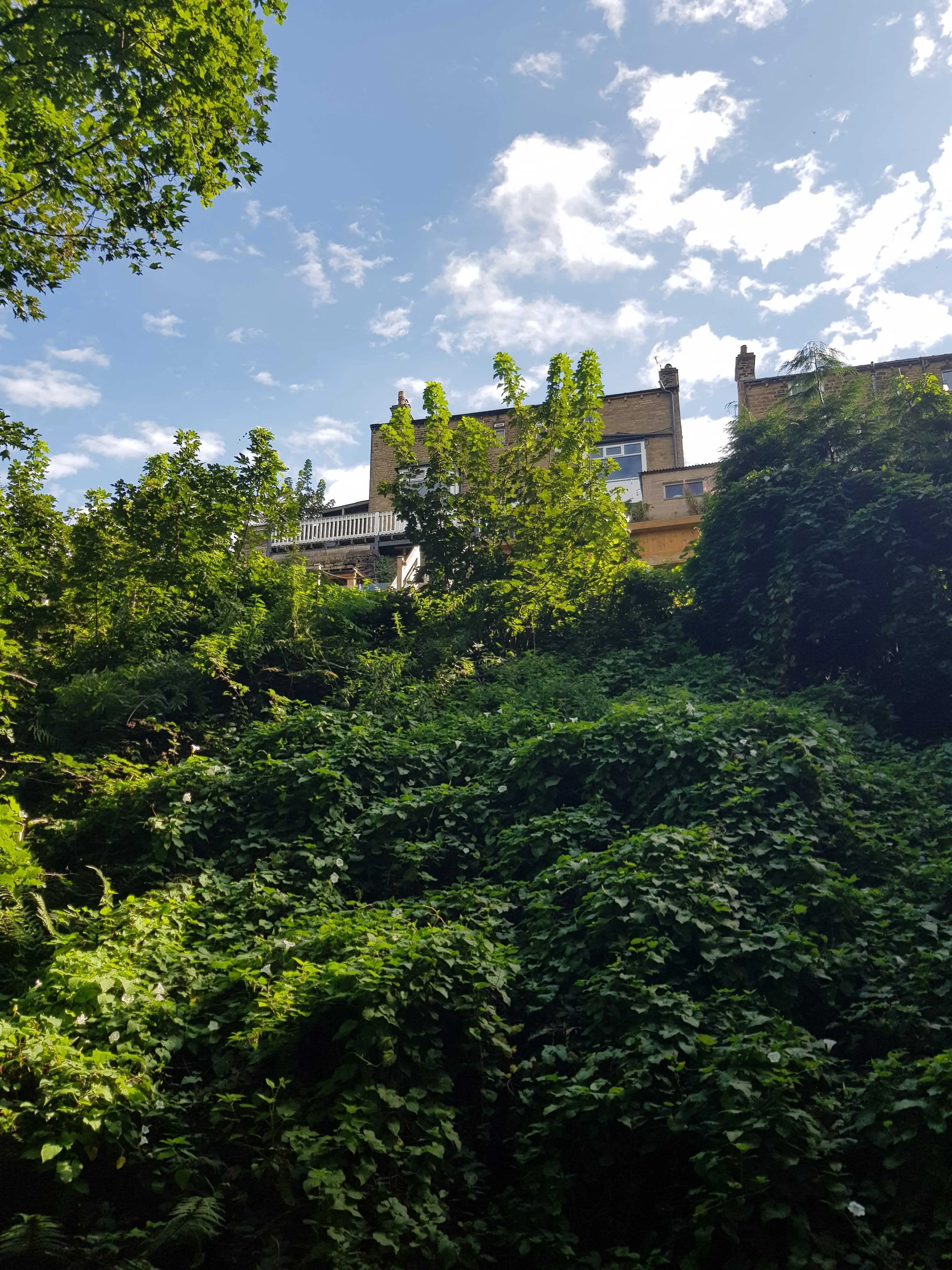 Steep Hillside Housing