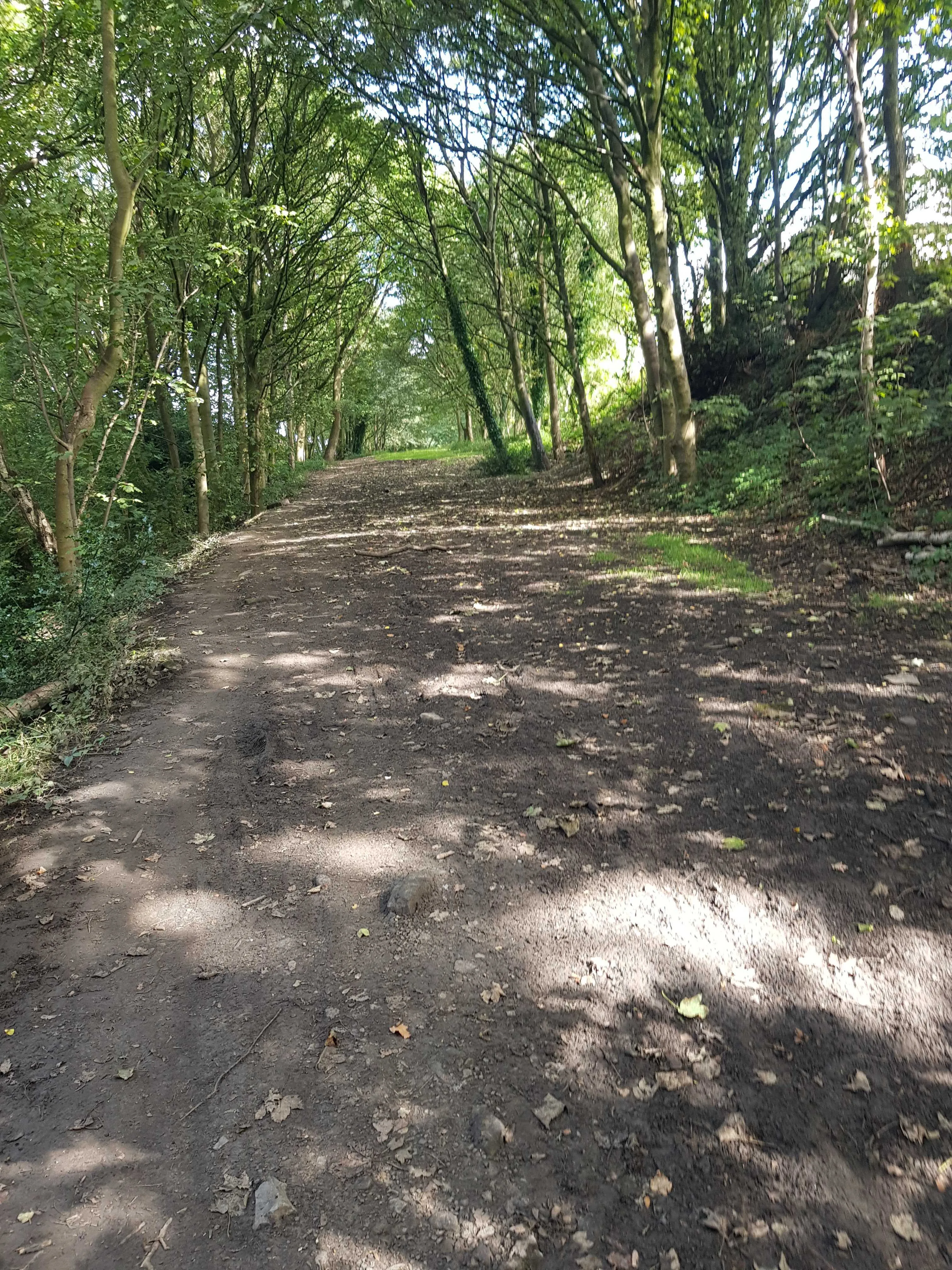 Train-sized Footpath